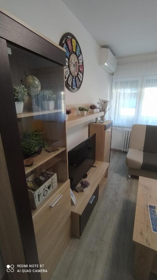 באניה לוקה Apartman * Victory * מראה חיצוני תמונה